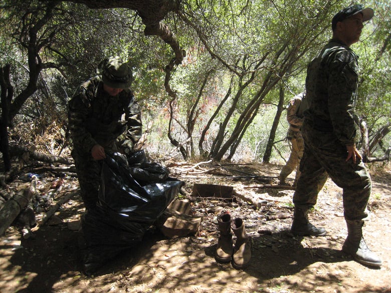 Photo from a past raid conducted by the California Department of Fish and Wildlife.